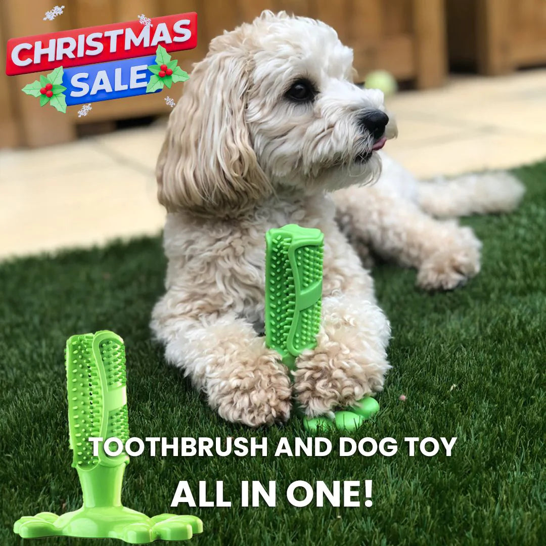 CalmingTeeth -  Durable Dog Chew Toy Toothbrush